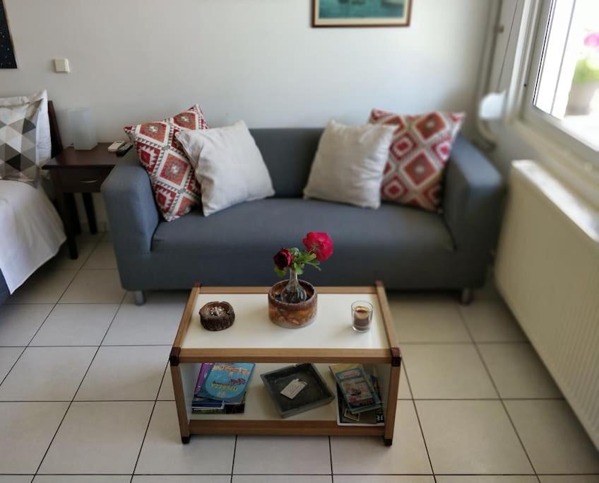 Ionian Blue Studio Preveza Bagian luar foto