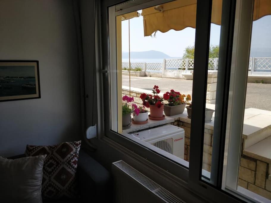 Ionian Blue Studio Preveza Bagian luar foto